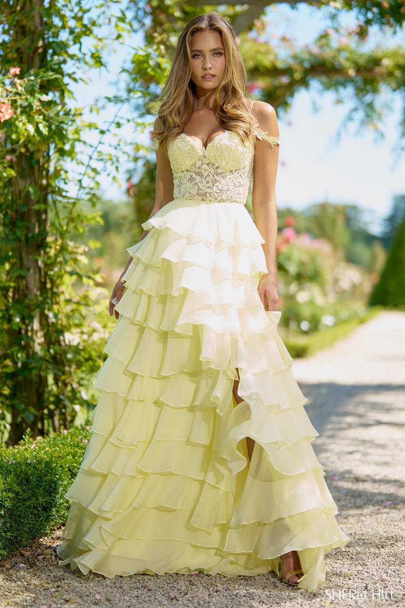 56868 SHERRI HILL 25